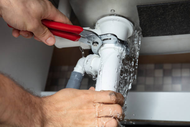 Best Water damage cleanup near me  in Bull Valley, IL
