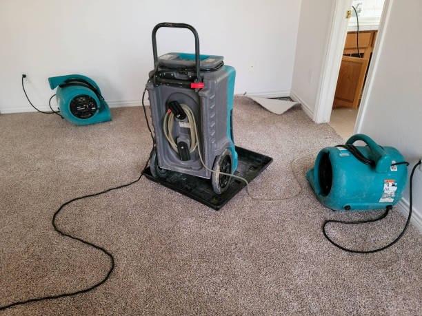 Best Flood damage cleanup  in Bull Valley, IL