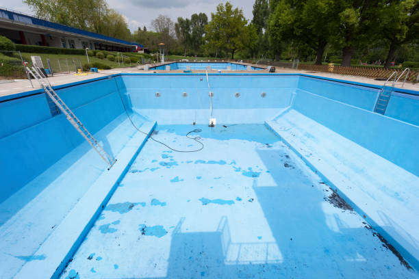 Best Flood restoration services  in Bull Valley, IL