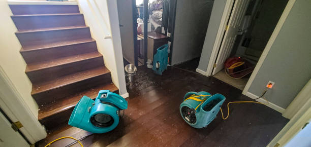 Best Fire Damage Restoration  in Bull Valley, IL
