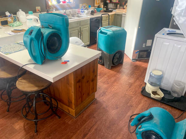 Best Water damage restoration near me  in Bull Valley, IL