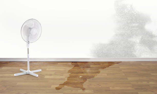 Best 24/7 water damage repair  in Bull Valley, IL