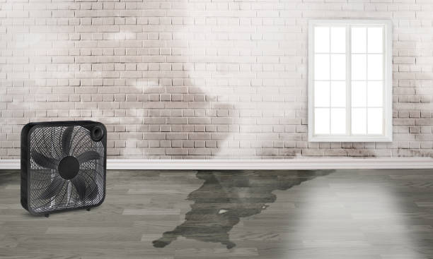 Best Sewage cleanup and water damage restoration  in Bull Valley, IL