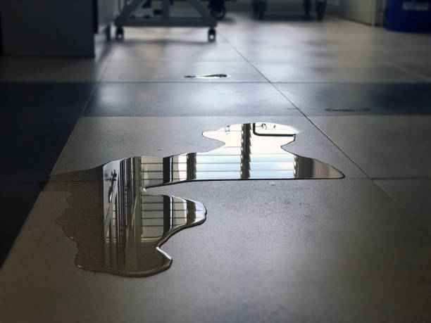 Best 24-hour water damage restoration  in Bull Valley, IL