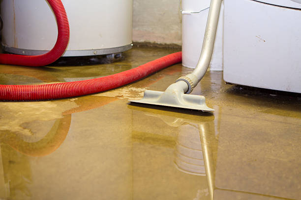 Best Commercial water damage restoration  in Bull Valley, IL