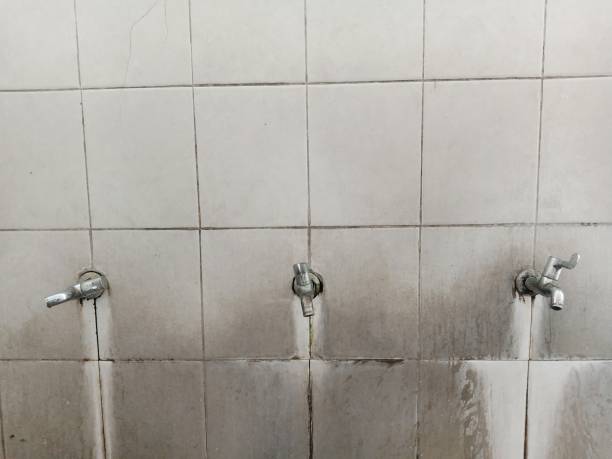 Best Water damage mitigation services  in Bull Valley, IL