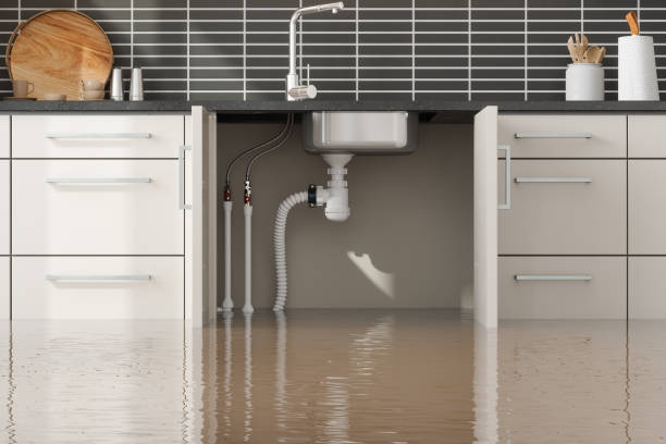 Best Mold removal after water damage  in Bull Valley, IL