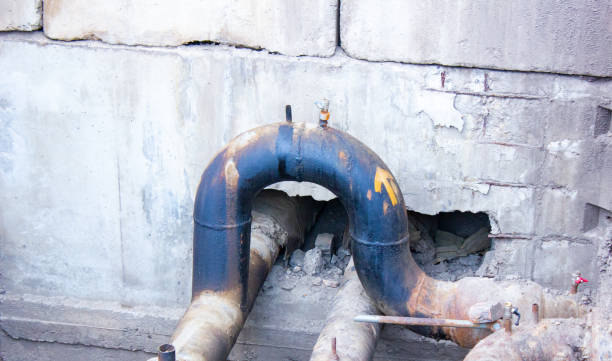 Best Emergency water extraction  in Bull Valley, IL
