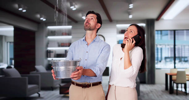 Best Water damage restoration mold remediation  in Bull Valley, IL
