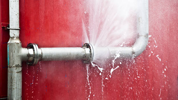Best Water damage restoration near me  in Bull Valley, IL
